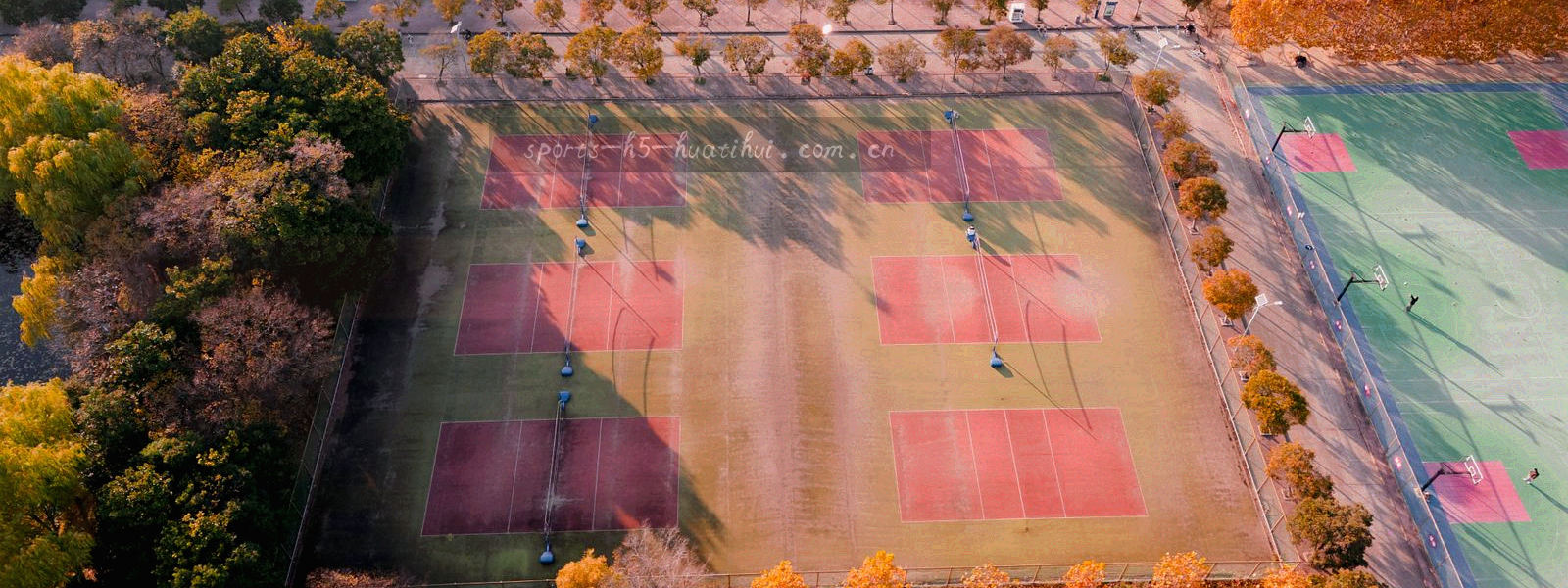 深墨绿背景上流动的数据线条与安全锁形抽象图形